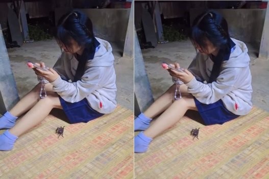 Bạn sang nhà chơi chỉ mong được vét máng